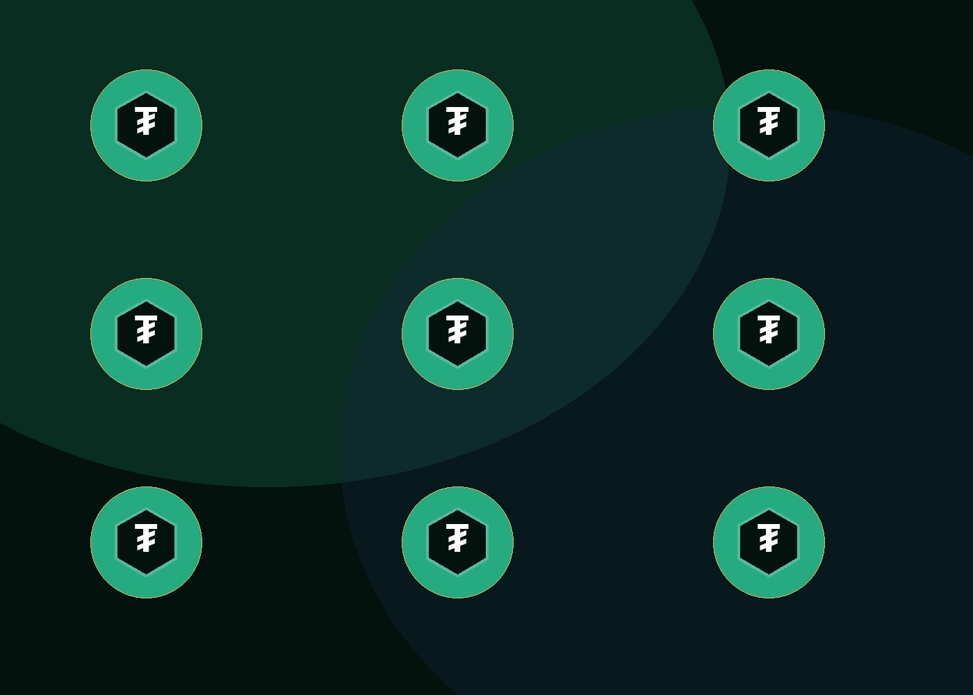 USDT flash software features for TRC20 and ERC20 tether flash